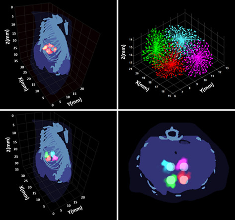 A hybrid clustering algorithm for multiple-source resolving in bioluminescence tomography