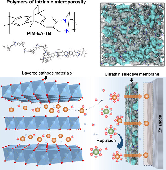 Interfacial Engineering of Polymer Membranes with Intrinsic Microporosity for Dendrite-Free Zinc Metal Batteries
