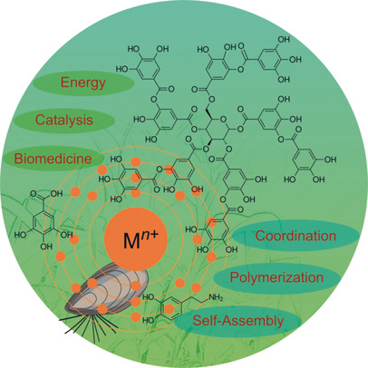 Phenolic Building Blocks for the Assembly of Functional Materials