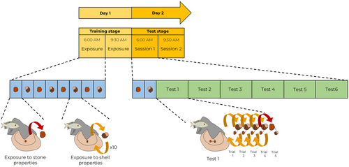 Details are in the caption following the image Details are in the caption following the image