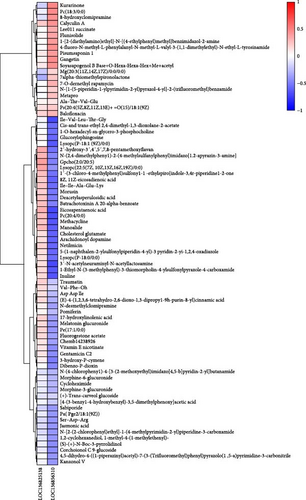 Details are in the caption following the image Details are in the caption following the image