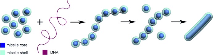 DNA/Polymeric Micelle Self-Assembly Mimicking Chromatin Compaction