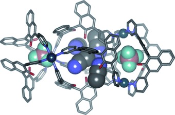 A New Structural Motif for an Enantiomerically Pure Metallosupramolecular Pd4L8 Aggregate by Anion Templating