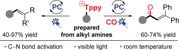 Deaminative (Carbonylative) Alkyl-Heck-type Reactions Enabled by Photocatalytic C−N Bond Activation