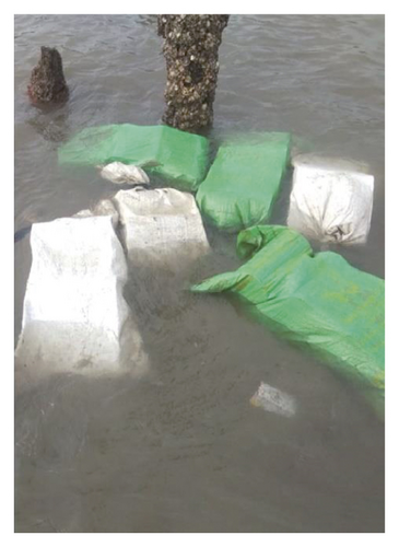 Details are in the caption following the image Details are in the caption following the image