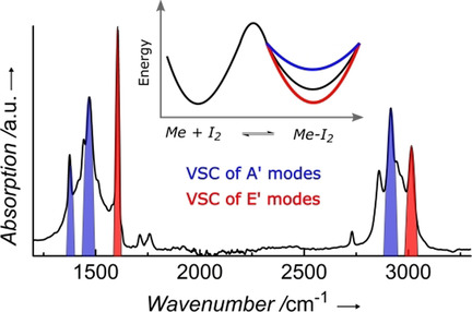 On the Role of Symmetry in Vibrational Strong Coupling: The Case of Charge-Transfer Complexation