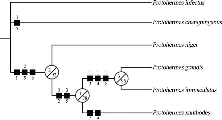 Details are in the caption following the image Details are in the caption following the image