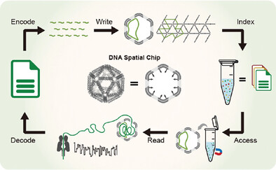 DNA Origami Framework-Based Spatial Nanochip for Circular ssDNA Assembly and Data Storage