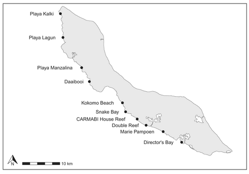 Details are in the caption following the image