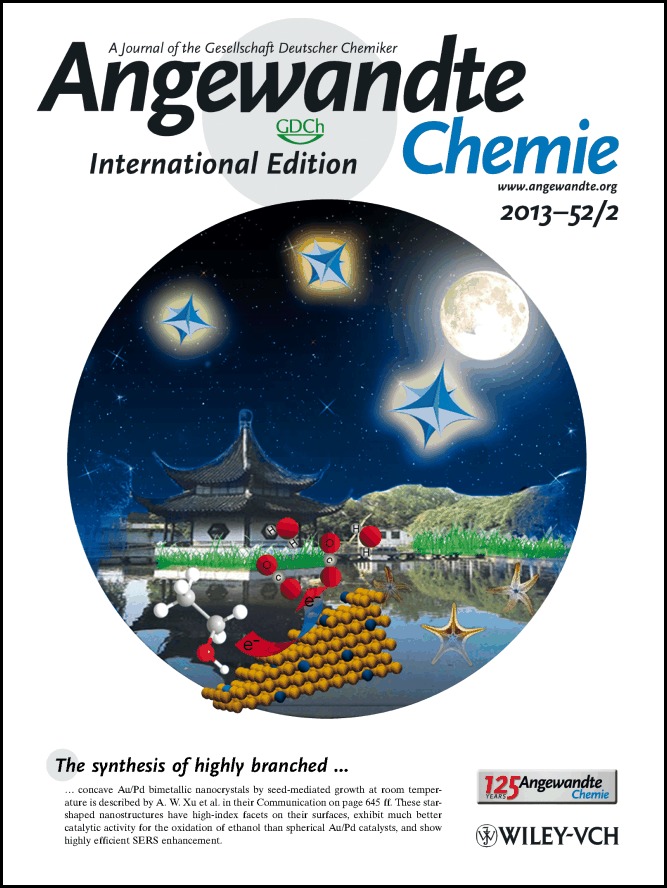 Back Cover: Highly Branched Concave Au/Pd Bimetallic Nanocrystals with Superior Electrocatalytic Activity and Highly Efficient SERS Enhancement (Angew. Chem. Int. Ed. 2/2013)