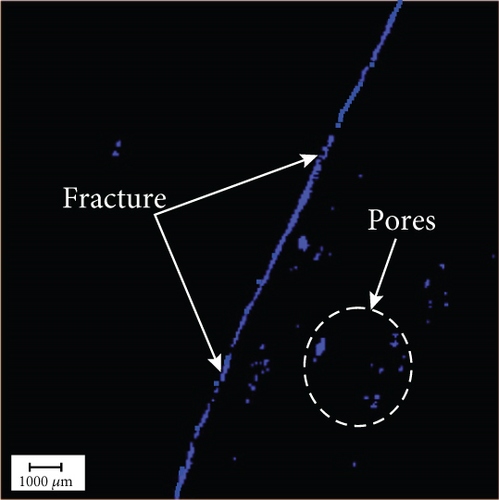 Details are in the caption following the image Details are in the caption following the image