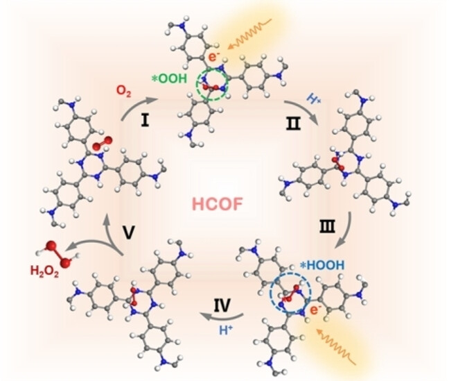 Protonation of an Imine-linked Covalent Organic Framework for Efficient H2O2 Photosynthesis under Visible Light up to 700 nm