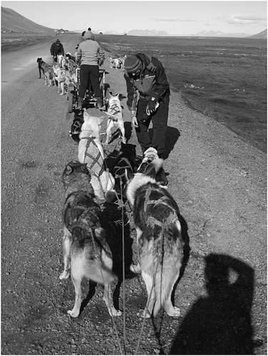 Details are in the caption following the image Details are in the caption following the image