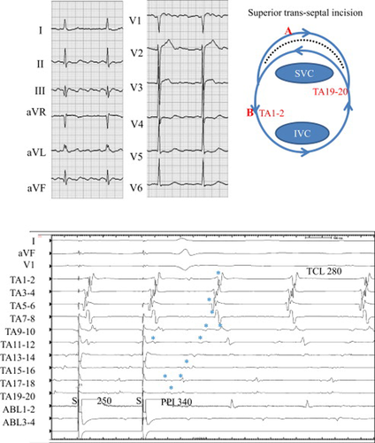 Details are in the caption following the image Details are in the caption following the image