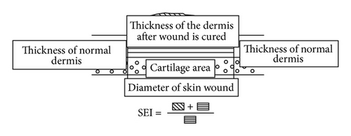 Details are in the caption following the image