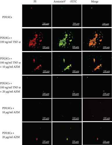 Details are in the caption following the image Details are in the caption following the image