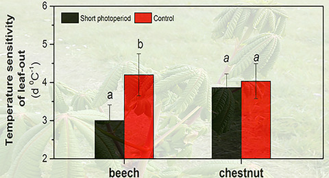 Short photoperiod reduces the temperature sensitivity of leaf-out in saplings of Fagus sylvatica but not in horse chestnut
