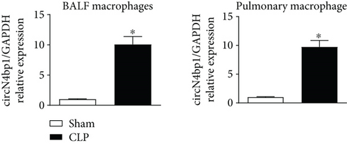 Details are in the caption following the image