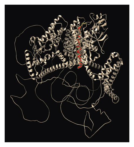 Details are in the caption following the image Details are in the caption following the image