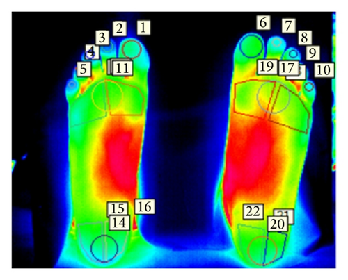 Details are in the caption following the image Details are in the caption following the image
