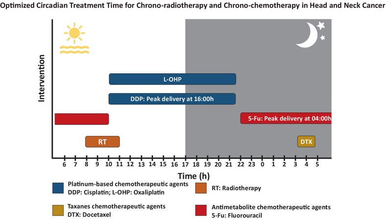 Chronotherapy in head and neck cancer: A systematic review and meta-analysis