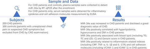 MicroRNA-34a in coronary heart disease: Correlation with disease risk, blood lipid, stenosis degree, inflammatory cytokines, and cell adhesion molecules