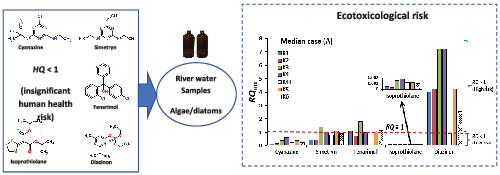 Ecotoxicological and human health risk assessment of selected pesticides in Kurose River, Higashi-Hiroshima City (Japan)