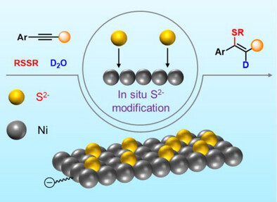 In Situ Sulfur Modification Enables Electrochemical Selective Deuterated Thiol-Yne Reactions