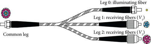 Details are in the caption following the image