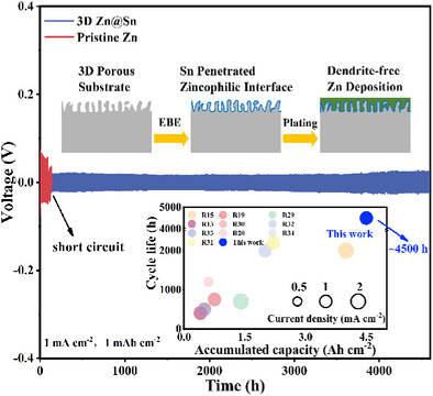 Sn Penetrated Zincophilic Interface Design in Porous Zn Substrate for High Performance Zn-Ion Battery
