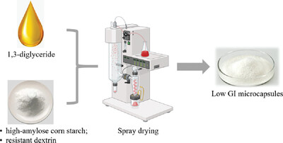 Preparation of 1,3-Diglyceride Microcapsules with Low Glycemic Index
