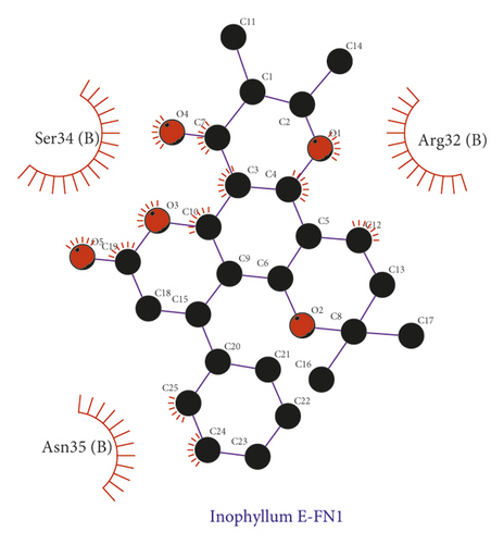 Details are in the caption following the image Details are in the caption following the image