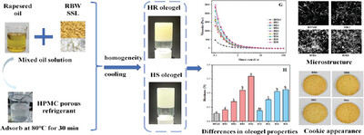 Synergistic Effect and Mechanism of Rice Bran Wax and Sodium Stearyl Lactate on the Properties and Cookie Quality of Hydroxypropyl Methylcellulose Oleogels