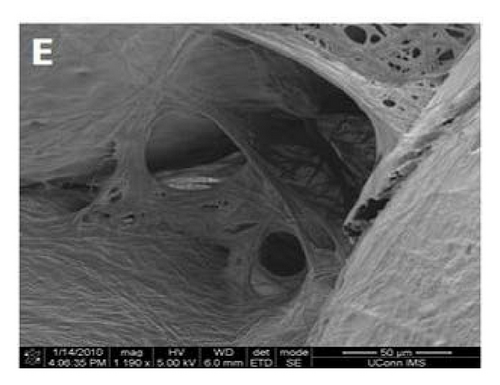Details are in the caption following the image
