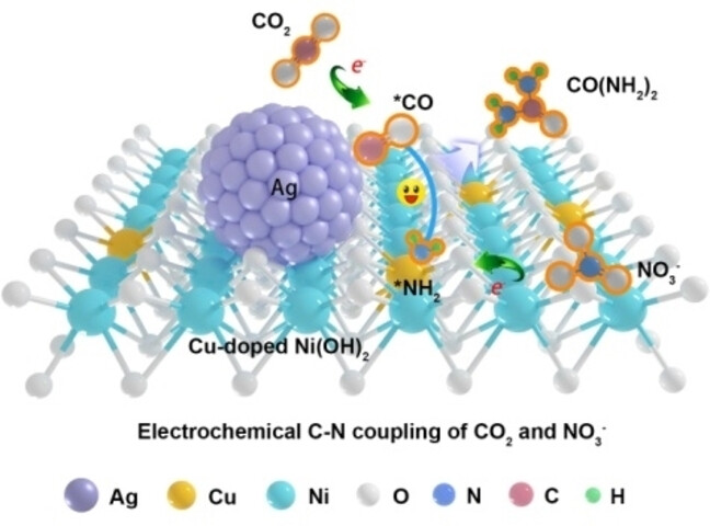 A Strongly Coupled Metal/Hydroxide Heterostructure Cascades Carbon Dioxide and Nitrate Reduction Reactions toward Efficient Urea Electrosynthesis