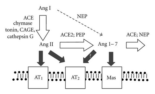 Details are in the caption following the image