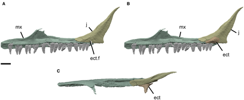 Details are in the caption following the image