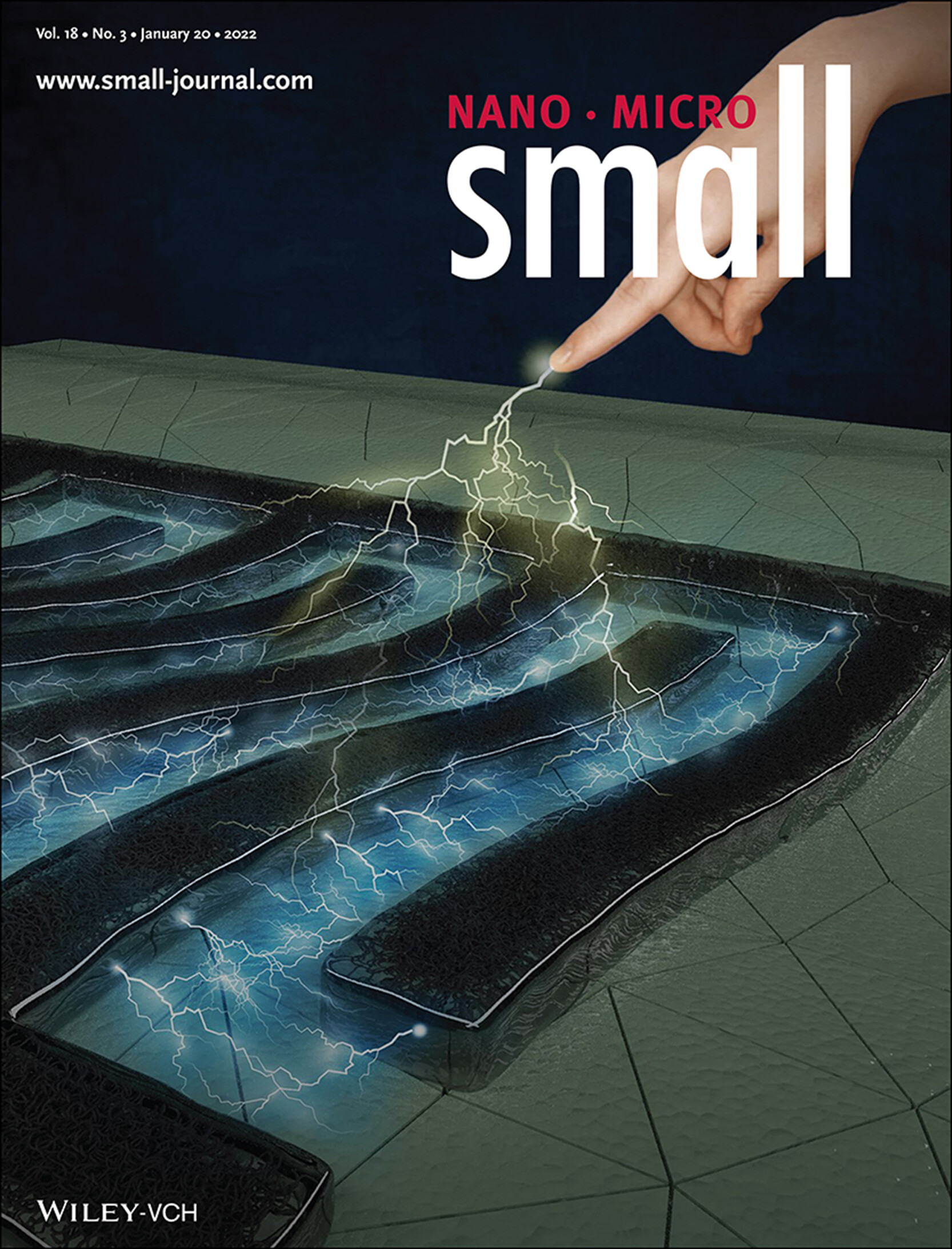 Intaglio Contact Printing of Versatile Carbon Nanotube Composites and Its Applications for Miniaturizing High-Performance Devices (Small 3/2022) Volume 18 Issue 3, 2022