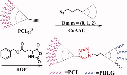 Versatile synthesis of asymmetrical dendron-like/dendron-like poly(ε-caprolactone)-b-poly(γ-benzyl-L-glutamate) block copolymers