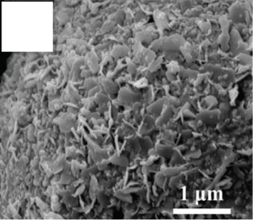 Details are in the caption following the image