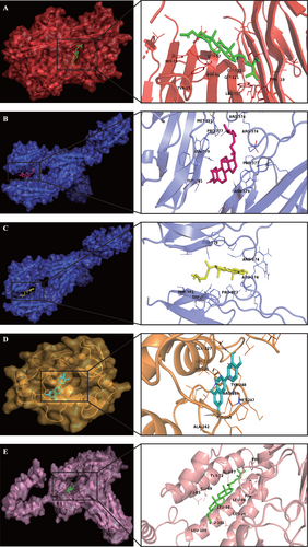 Details are in the caption following the image Details are in the caption following the image