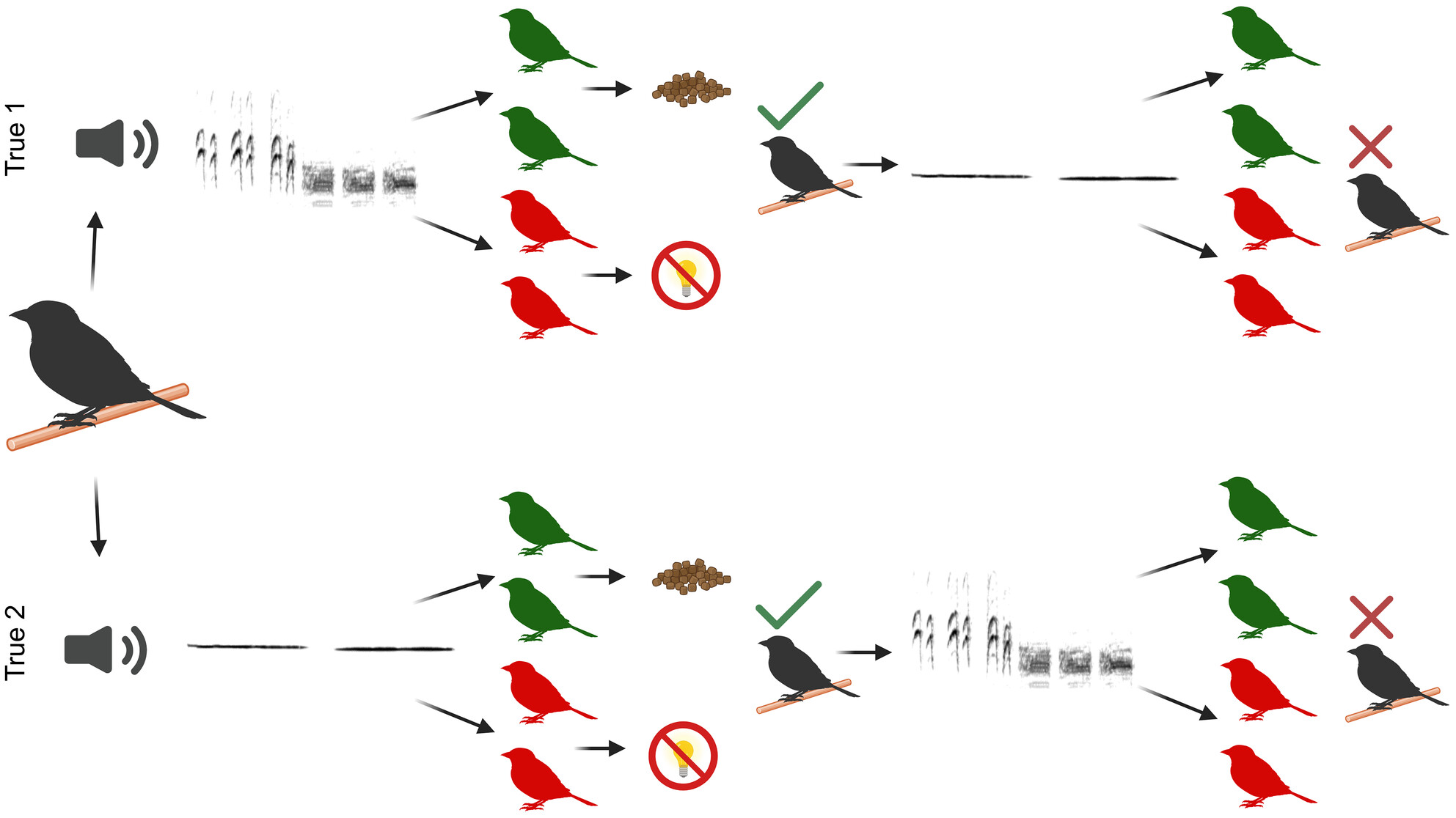 Individual Discrimination Within, but Not Between, Two Vocalization Types of the Black-Capped Chickadee