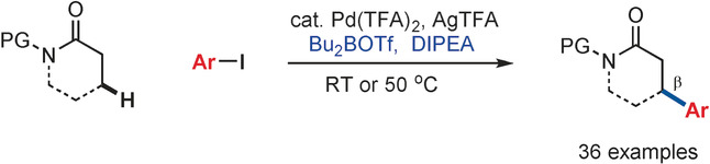 Direct Palladium-Catalyzed β-Arylation of Lactams