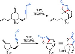 An Efficient Approach to the Securinega Alkaloids Empowered by Cooperative N-Heterocyclic Carbene/Lewis Acid Catalysis