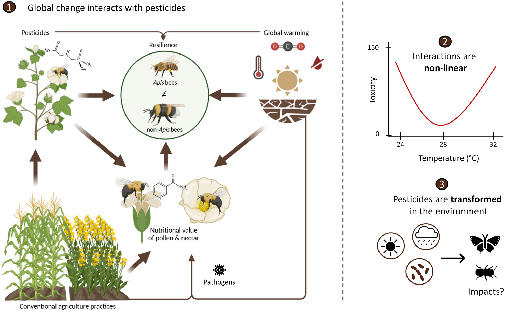 Pesticide Risk Assessment in a Changing World