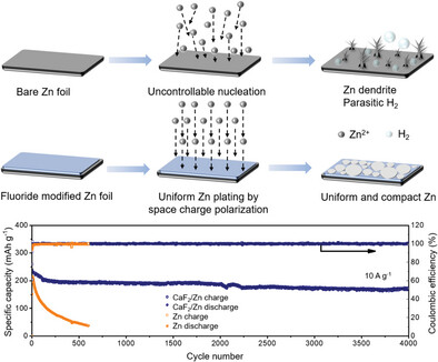 Fluorinated Interface Engineering toward Controllable Zinc Deposition and Rapid Cation Migration of Aqueous Zn-Ion Batteries