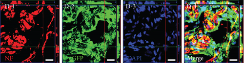 Details are in the caption following the image