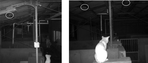 Details are in the caption following the image Details are in the caption following the image