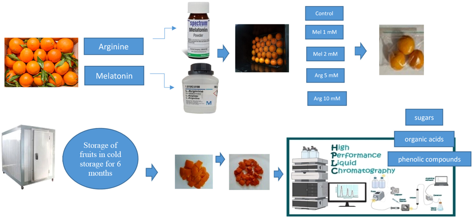 Enhancement of Bioactive Compounds in “Valencia” Orange Peel Waste During Cold Storage by Melatonin and Arginine Treatments
