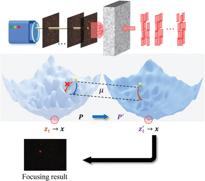 Probabilistic Phase Shaping Guided Wavefront Control of Complex Media with Information-Limited Intensity Measurements